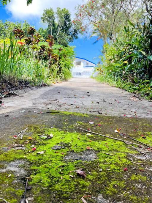 Villa Verde Luz: A Virgin Forest Yauco Exterior foto