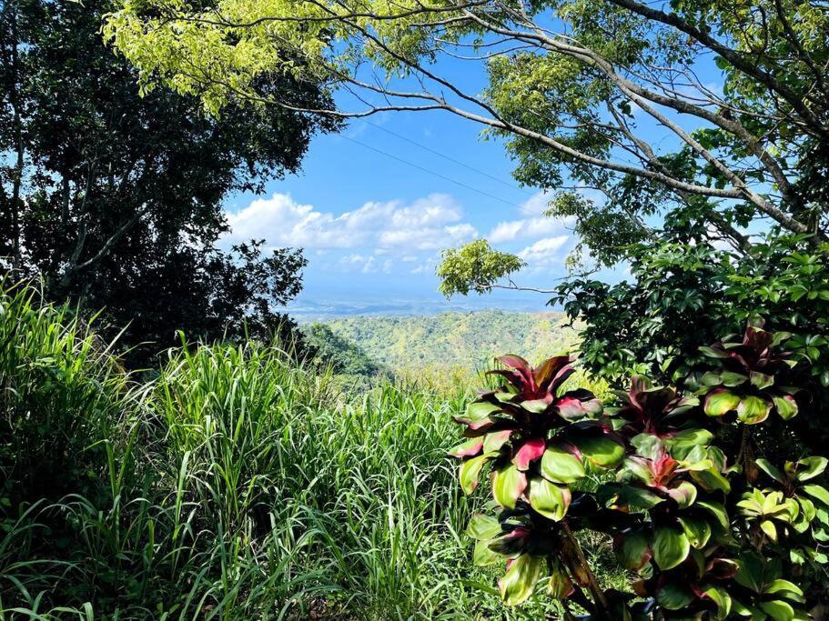 Villa Verde Luz: A Virgin Forest Yauco Exterior foto